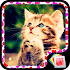 Kittens Live Wallpaper1.0