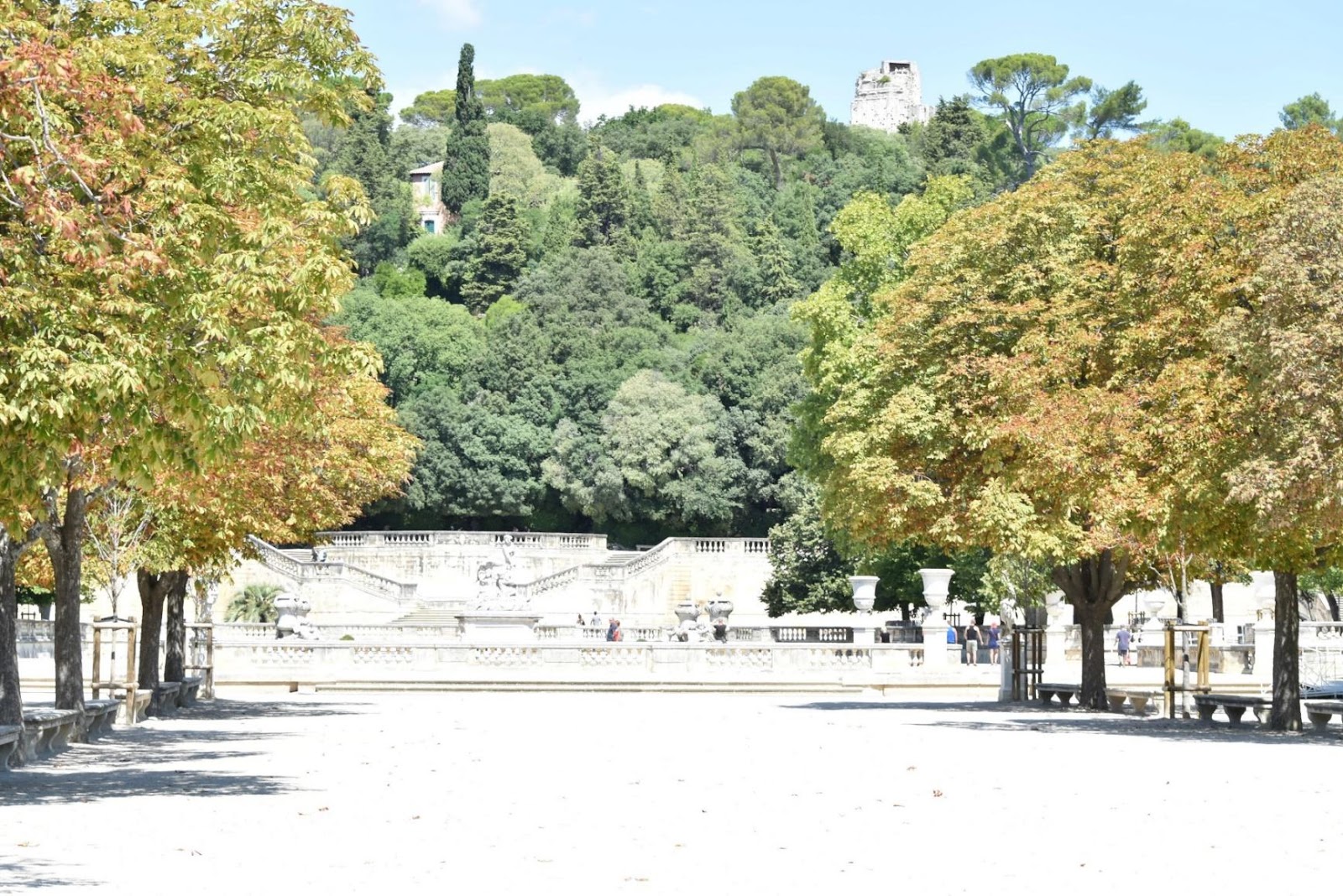 Y:\Nimes_arles_carcassonne\DSC_2245.JPG