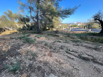 terrain à batir à La Ciotat (13)