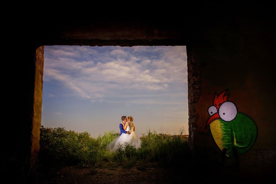 Fotógrafo de bodas Tamara Hevia (tamihevia). Foto del 18 de febrero 2019