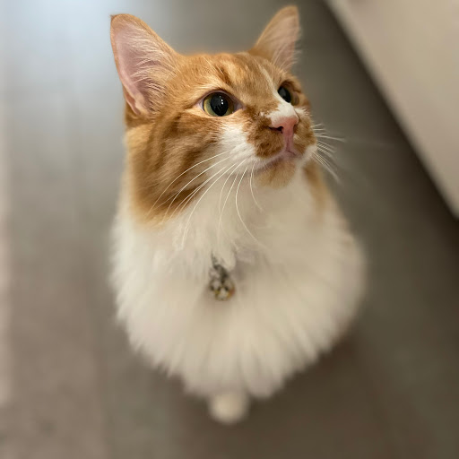 うじのプロフィール画像