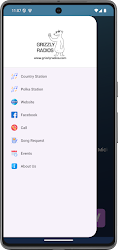 Grizzly Radios application demo screenshot