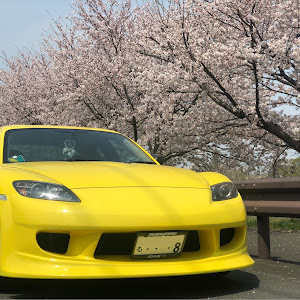 RX-8 SE3P