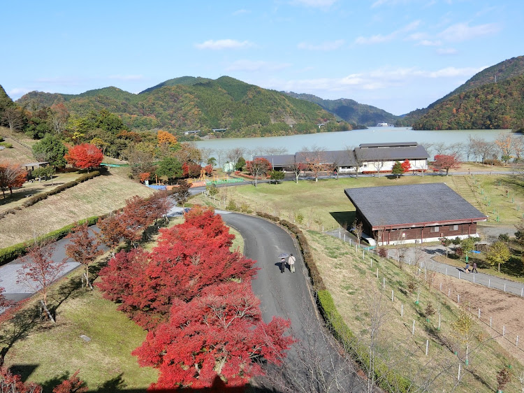 ワゴンRのドライブ・紅葉と愛車に関するカスタム事例の投稿画像2枚目