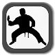 Martial Arts - Training and workouts Download on Windows