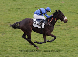 Prix du Président de la République 2015 (St., Hand., Auteuil) 19-04 : Saint Pistol 4XJPkxC_zMkJYo6xY_o8mrDh8d-uTprEnS8gUJRPHG7X=w270-h197-p-no