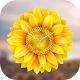 Download Sunflower Clock Live Wallpaper For PC Windows and Mac 1.0