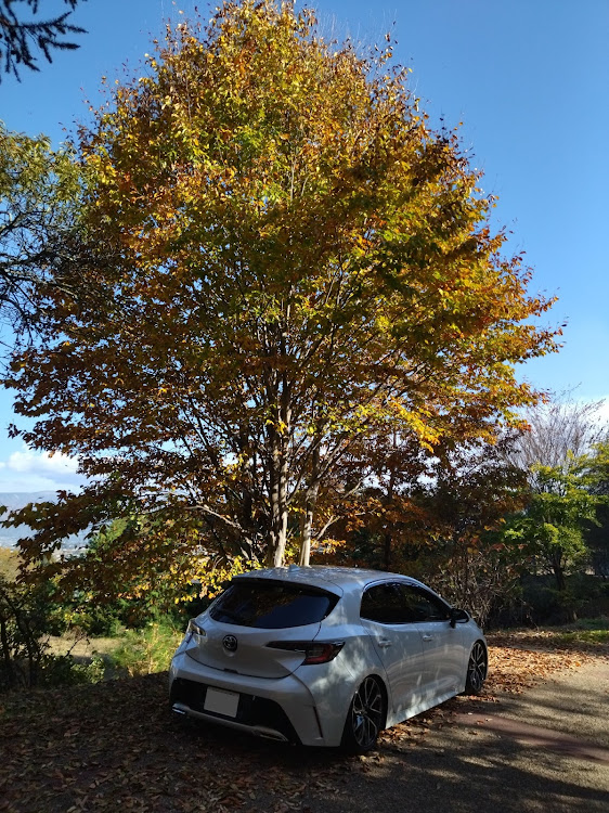 カローラスポーツのいつもイイネ&コメントありがとうございます🙇‍♂️・クルマ好きと繋がりたい・紅葉と愛車・11月もよろしくお願いしますに関するカスタム事例の投稿画像3枚目