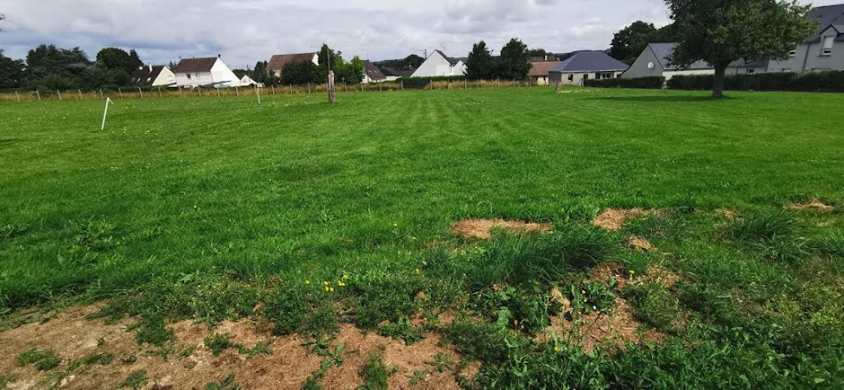 Vente terrain  1800 m² à Pré-en-Pail-Saint-Samson (53140), 39 990 €