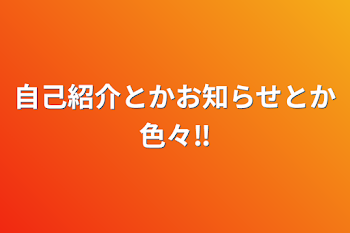 自己紹介とかお知らせとか色々‼︎