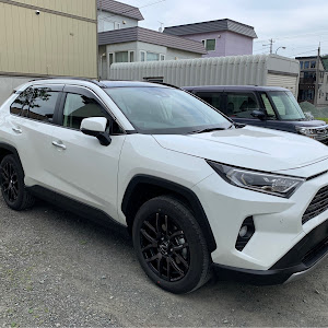 RAV4 AXAH54