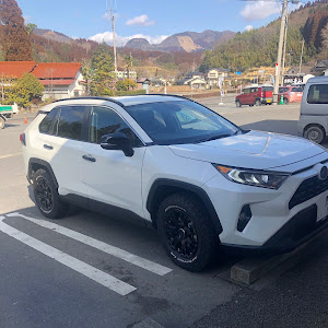 RAV4 MXAA52