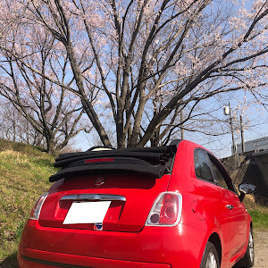 500C