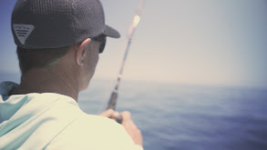 Offshore Sailfish with Capt Matt George thumbnail