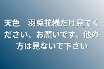 天色　羽兎花様だけ見てください、お願いです、他の方は見ないで下さい