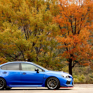 WRX S4 VAG