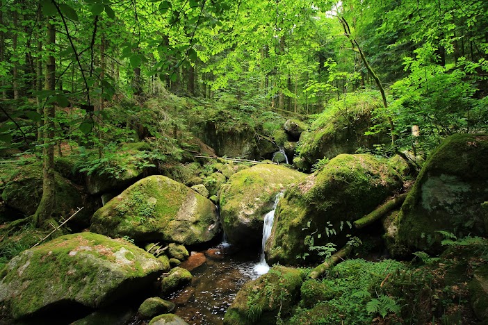 15 días por la Selva Negra y la Alsacia Francesa - Blogs de Alemania - Cascada Gertelbach, lago Herrenweis y Zem All Hamersbach - VIERNES 7 DE JULIO (5)