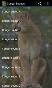 Cougar Sounds(圖3)-速報App
