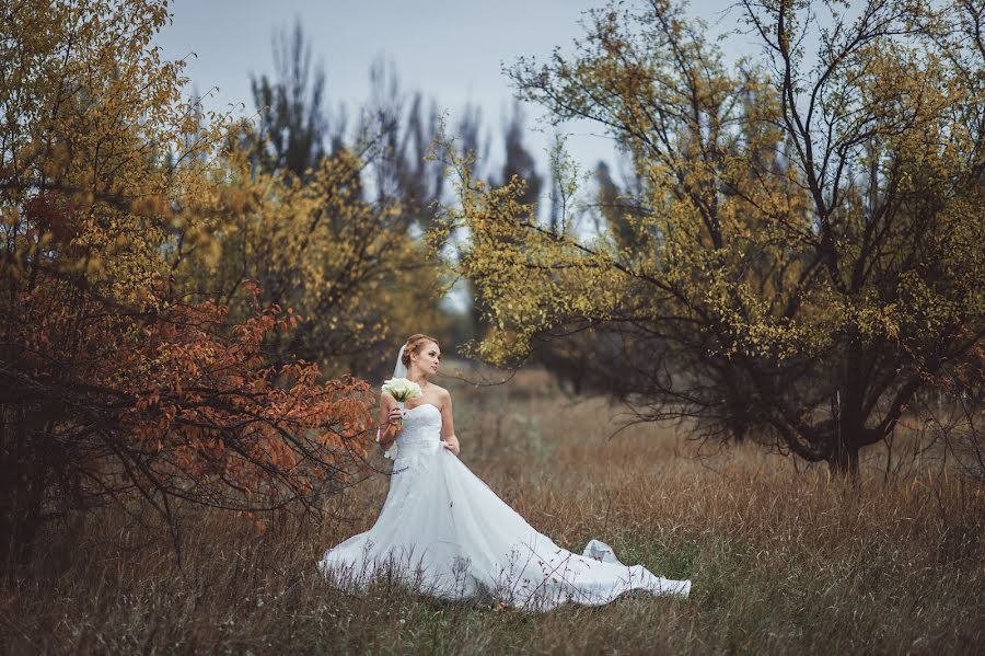 Bröllopsfotograf Roman Isakov (isakovroman). Foto av 31 mars 2014