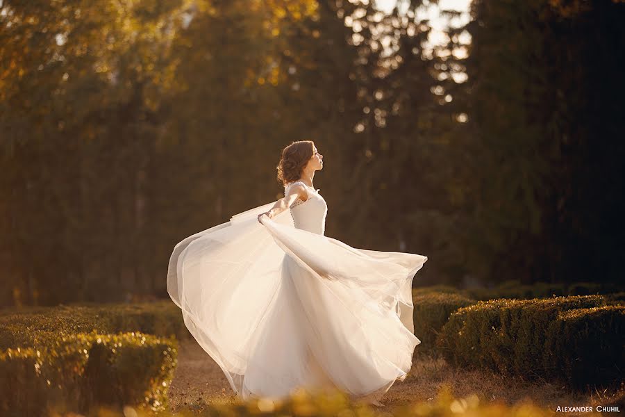 Fotógrafo de casamento Aleksandr Chukhil (alexchuhil). Foto de 23 de dezembro 2015