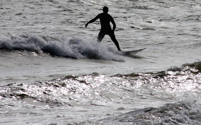 Surfing di paolo-spagg