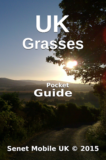 Pocket Guide UK Grasses