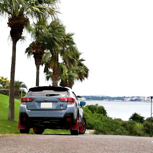 XV GT7