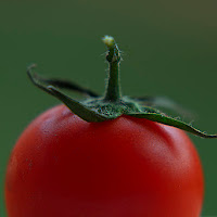 tomato di 