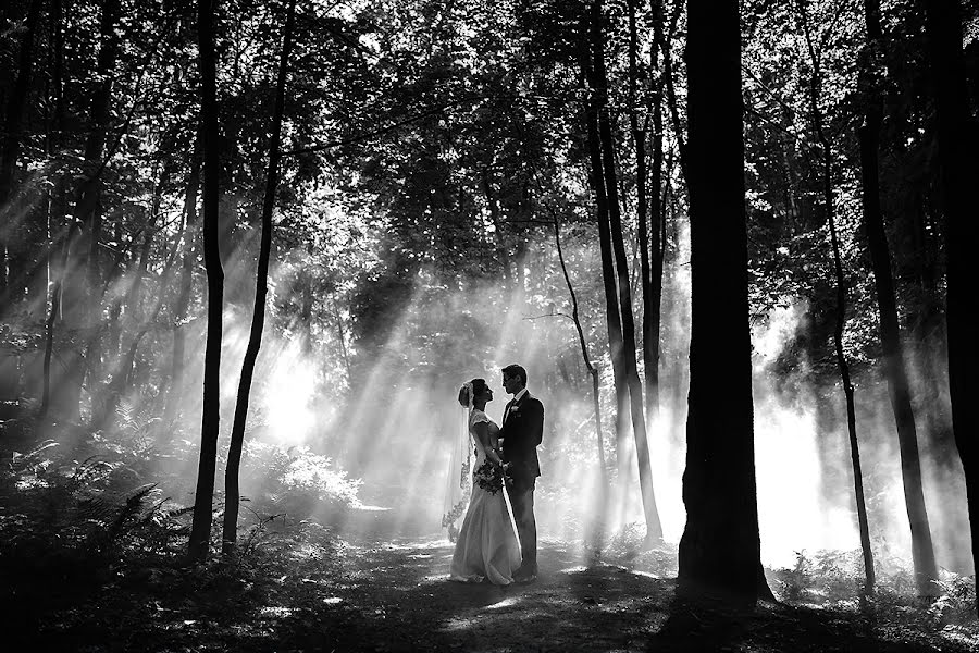 Fotógrafo de casamento Andrey Radaev (radaevphoto). Foto de 11 de julho 2016