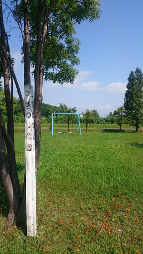 ひまわり公園