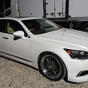 LS UVF45