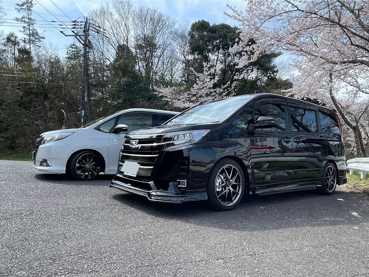 エスクァイアのサクラと愛車・4月もよろしくお願い致します🌸・桜コラボ・送迎役に徹する・豪華客船に関するカスタム事例の投稿画像4枚目