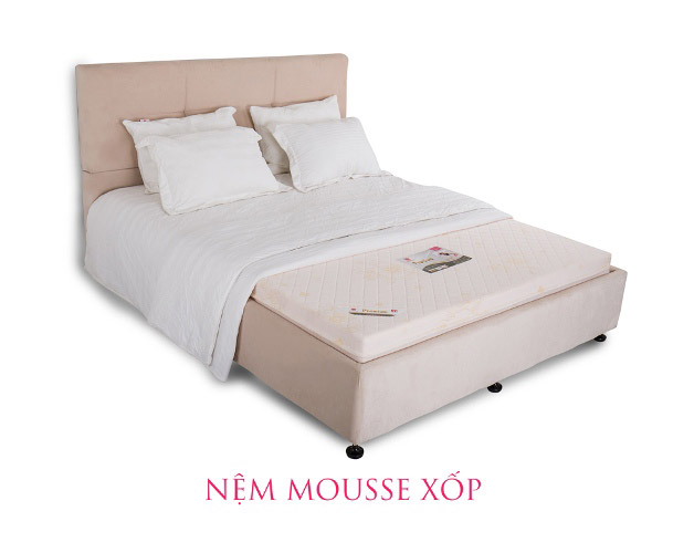 nem-mousse-van-thanh-premium-bao-hanh-12-nam