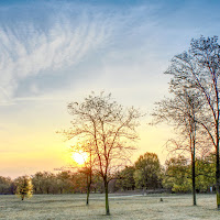 Magie d'autunno di 