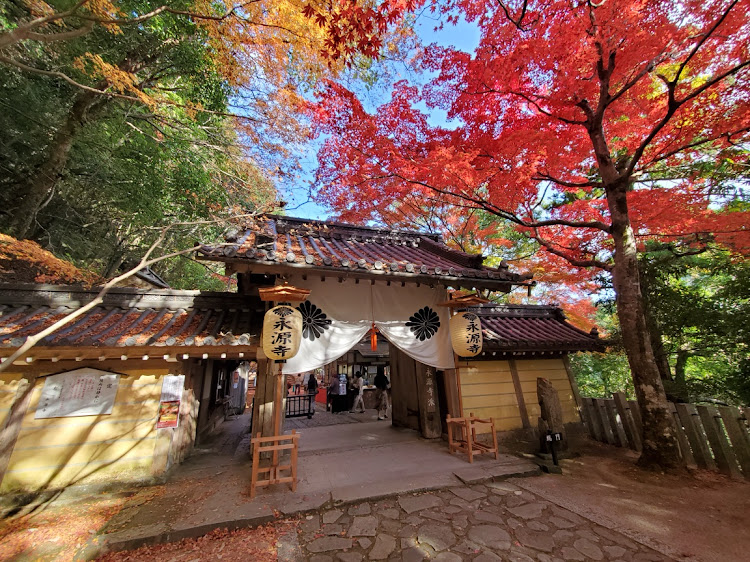 シビックタイプRの紅葉に関するカスタム事例の投稿画像4枚目