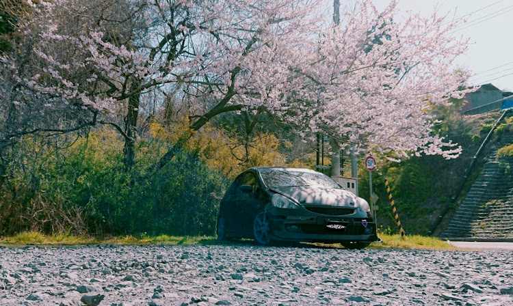 フィットの桜とコラボ・いい天気・作業日和・運転 3時間・腰痛いに関するカスタム事例の投稿画像1枚目