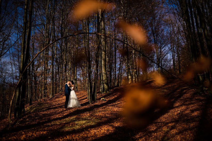 Wedding photographer Andy Casota (casotaandy). Photo of 27 November 2018