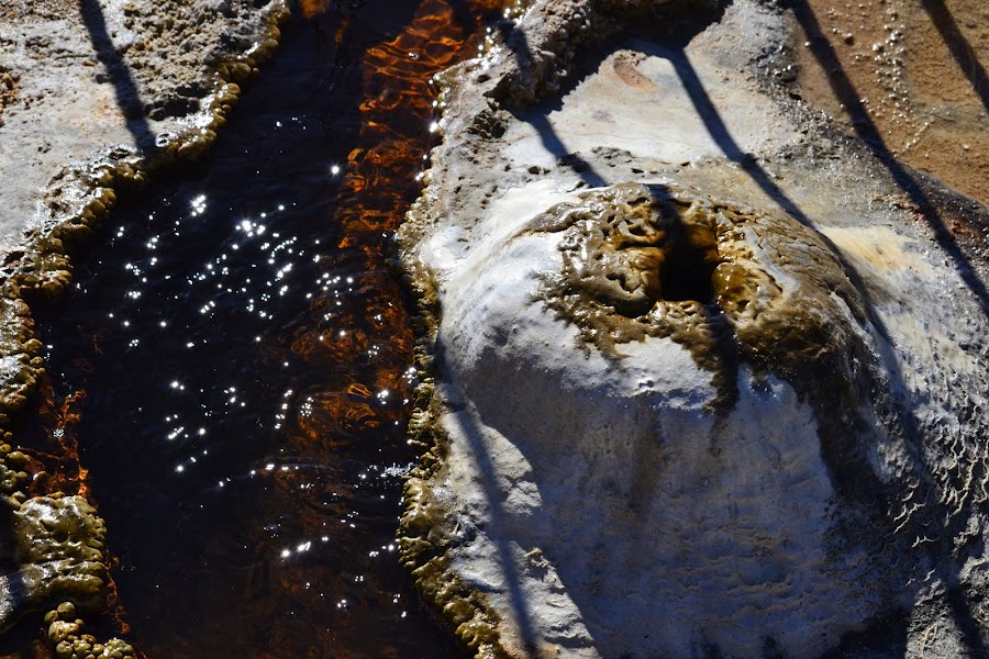 Мексика. И станут направления дорогами.