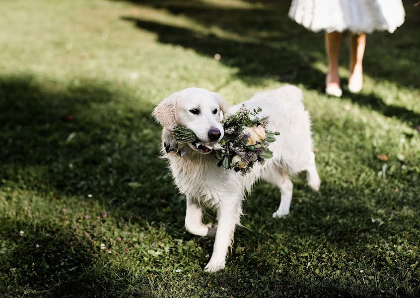 Fotografo di matrimoni Airidas Galičinas (airis). Foto del 18 giugno 2017