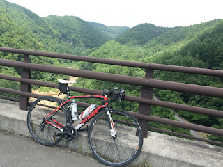 どこかの橋。この後10%越えの坂が...