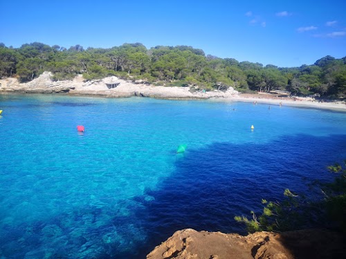 Escapada corta a Menorca en tiempos de coronavirus. Septiembre 2020 - Blogs de España - Calas del sur. Cala Turqueta, Macarella y Macarelleta por el Camí de Cavalls (9)