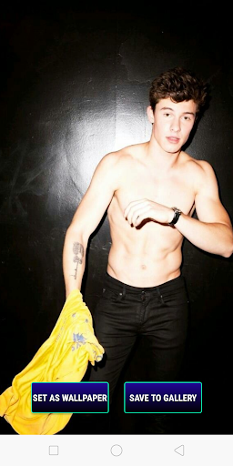 Shawn Mendes Wallpapers