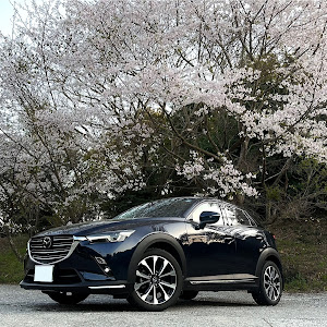 CX-3 DKEFW