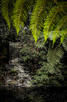 Pulmafotograaf Santiago Ospina (santiagoospina). Foto tehtud 12 märts 2019