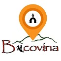 Bucovina icon