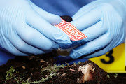 Pupils and staff received trauma support after the human skeleton was found under a mobile classroom. Stock photo.