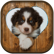 Cute Puppy Wallpaper  Icon