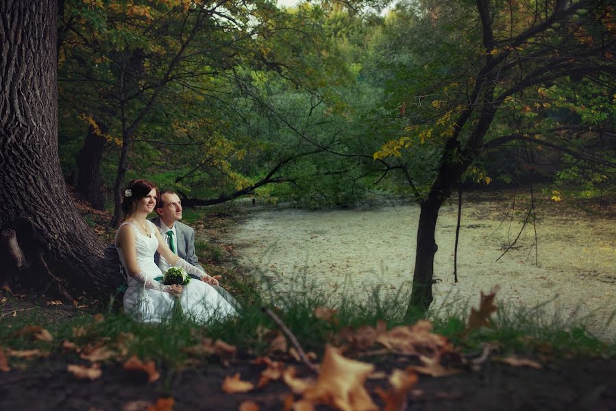 Wedding photographer Viktor Vodolazkiy (victorio). Photo of 28 September 2014