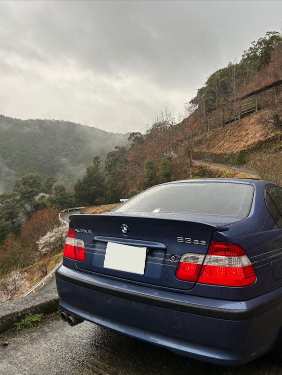 B3セダンのアルピナ・3Ｅ46・山山山に関するカスタム事例の投稿画像2枚目