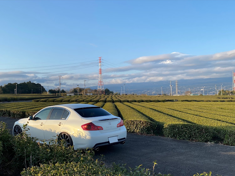 スカイラインのINFINITI G25・岩本山公園・桜と愛車・桜好き男子に関するカスタム事例の投稿画像13枚目